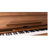 Korg Poetry Magnifique