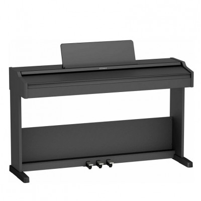 Roland RP107