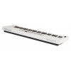 Roland GO:KEYS 5 Keyboard - White