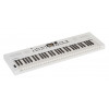 Roland GO:KEYS 5 Keyboard - White
