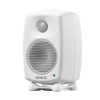 Genelec 8010AW